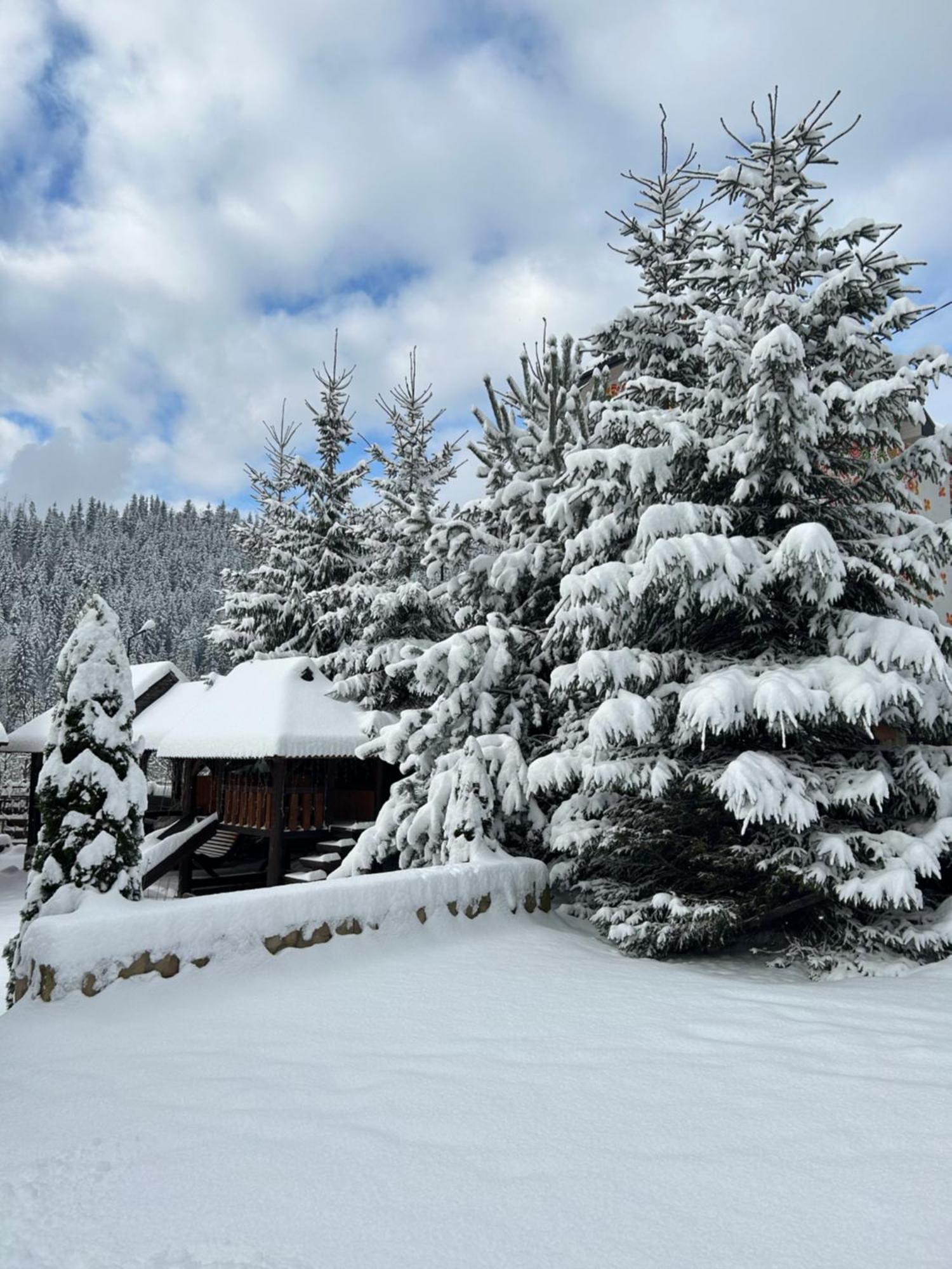 Guest House Kaspiy Bukovel Exterior photo